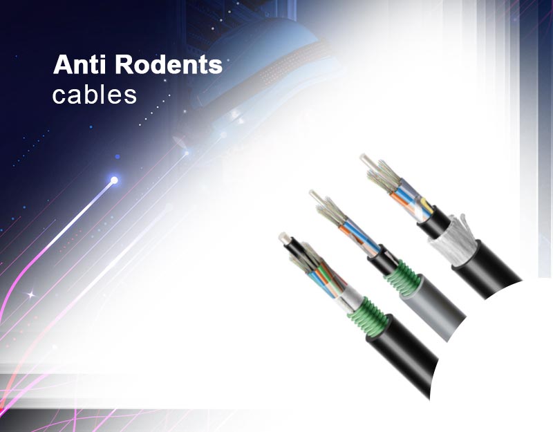 service-4-featured-image-Anti-Rodents